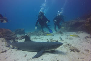 Buceo01