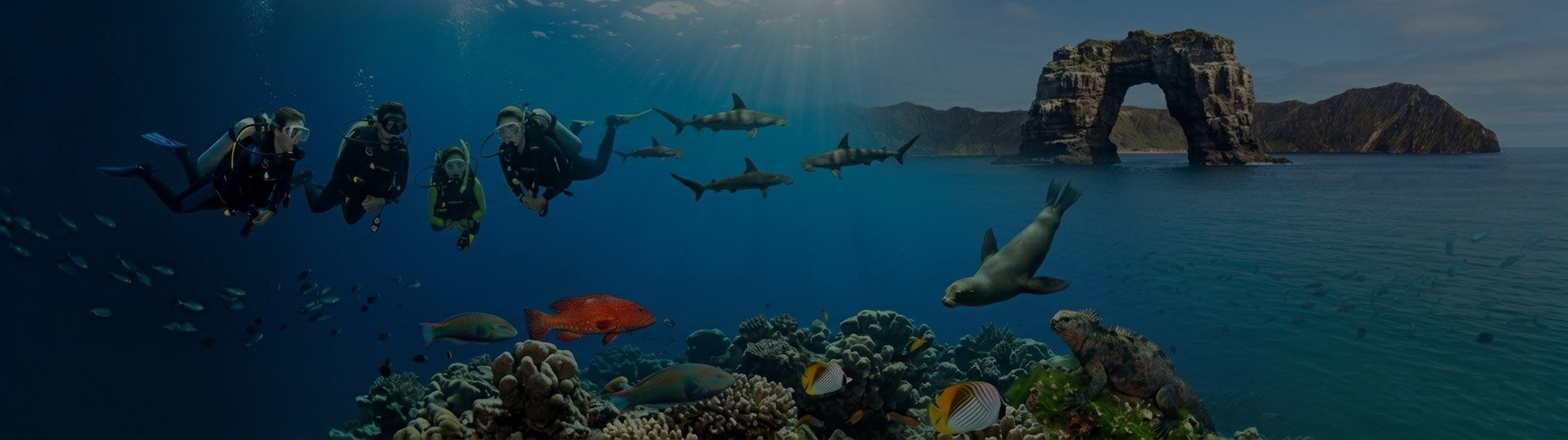 galapagos03